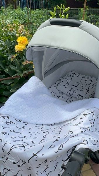 Комплект постілі в коляску 3в1 (простинь непромокаюча на резинці) Ноти Білий / Чорний 43785 фото