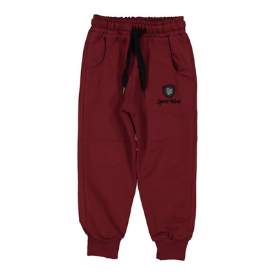 Трикотажні спортивні штани на манжетах для хлопчика на 4 роки 104110 см Червоні 4050 фото